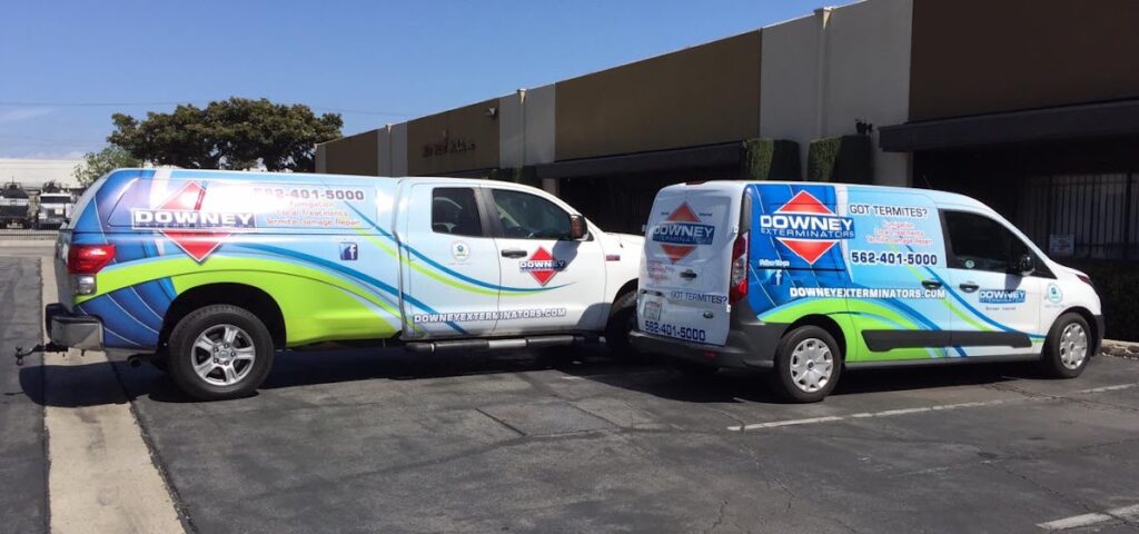 Downey Exterminators
