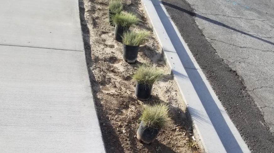 Excellence Landscaping and Maintenance